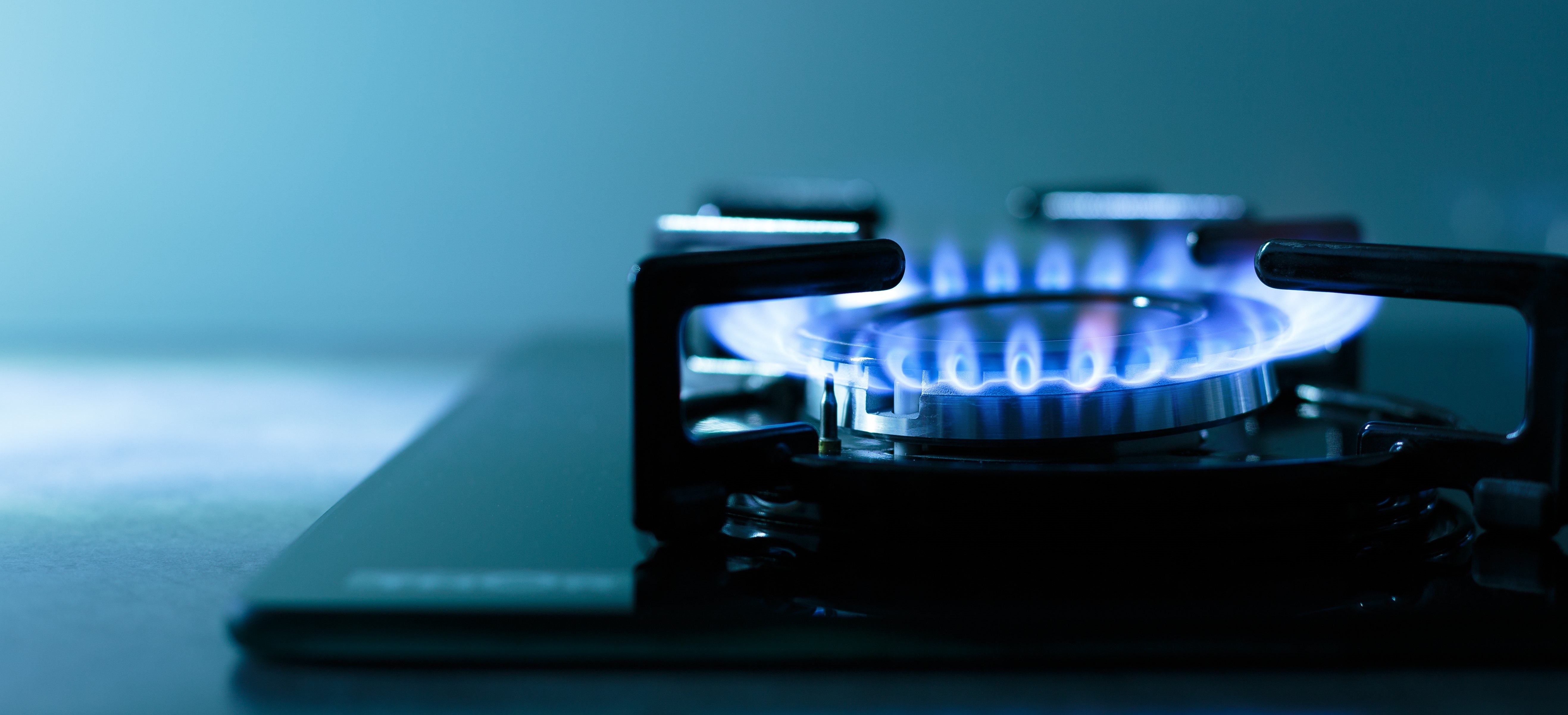 Poupa Energia Entenda a fatura de gás natural